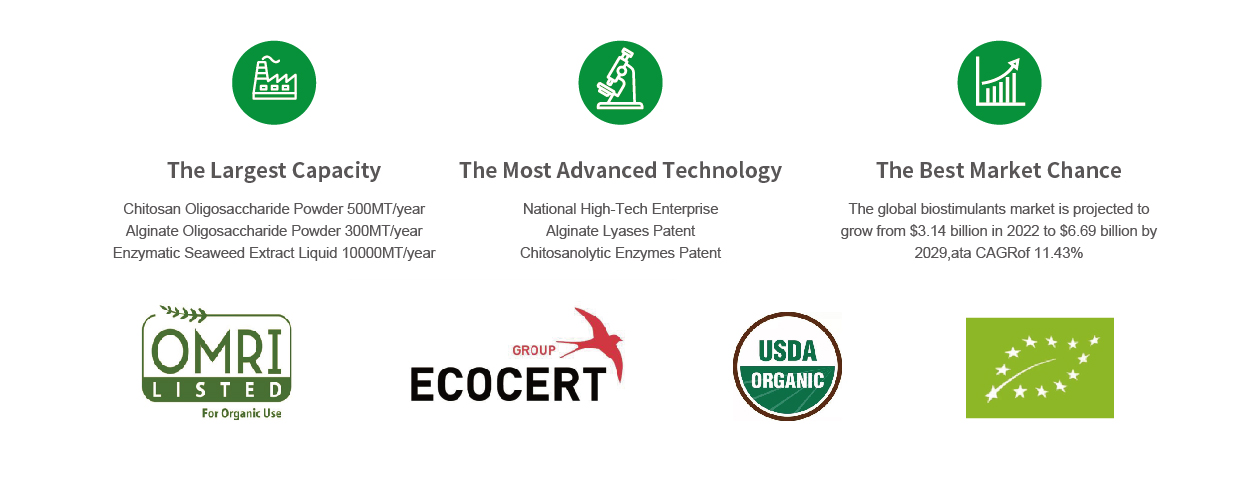 MacroAlga Biostimulant Catalog KEYO Enzymatic Seaweed Extract