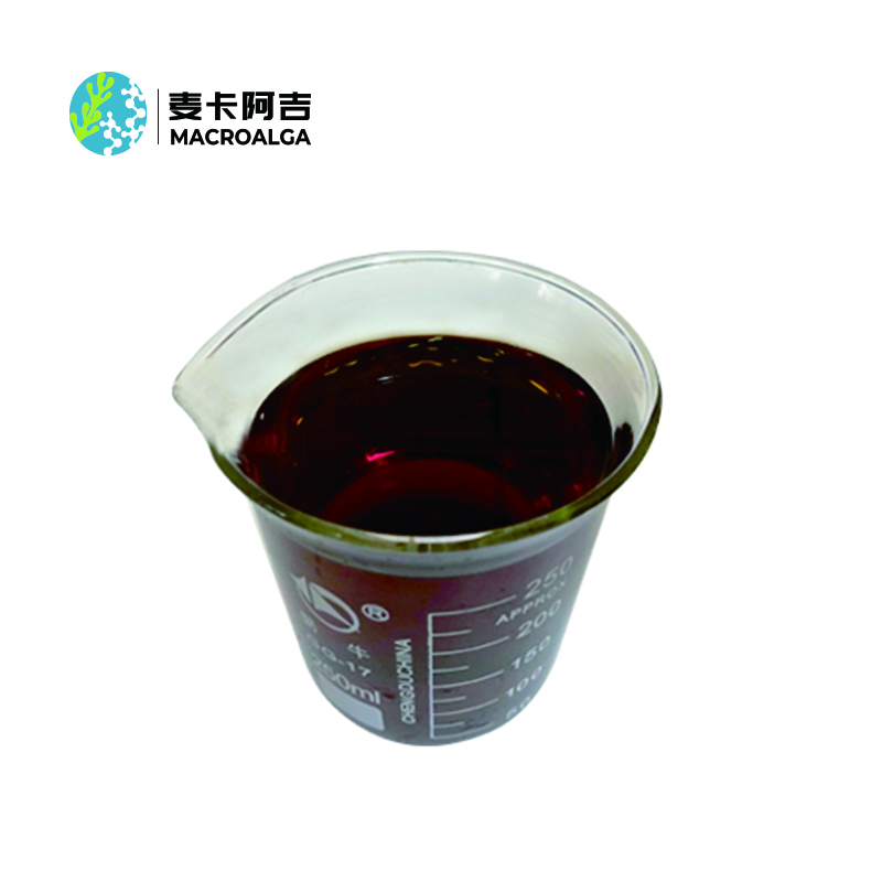 Laminaria japonica Extract