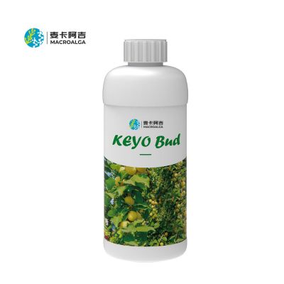 KEYO Bud-More Buds,More Joys