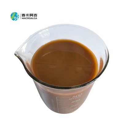 KEYO - Enzymatic Ecklonia Maxima Extract