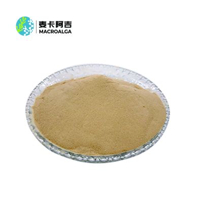 Chitosan Oligosaccharide Food Grade